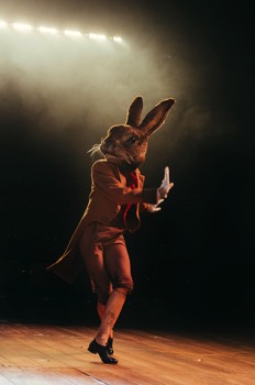 Br'er Rabbit (Cassie Clare) is tap dancing in a brown tailed suit jacket and white gloves. The actor wears a full size photo realistic rabbit head. A long line of lights are chasing behind her.