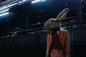 Br'er Rabbit (Cassie Clare) is stood against the wall of the theatre under fluorescent working light. There are circle seats behind their head. The actor playing Br'er Rabbit wears a full size photo realistic rabbit head.
