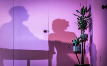  A bright pink wall is lit with the shadows of a woman, a man and round table. There is a three-pot plant stand in the corner of the room with plants in. 