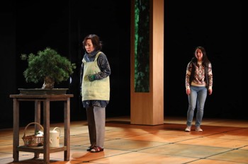  Missing People Production Image. Chiyo (Natsumi Nanase) tends to a large bonsai on a pedestal. Sakiko (Susan Momoko Hingley) stands upstage behind her. 